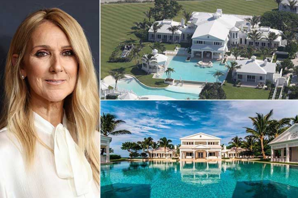 Capture decran 2026 03 19 161541 1