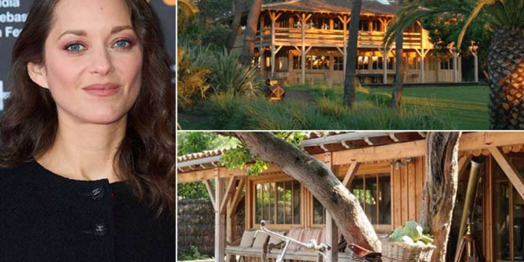 Capture decran 2026 03 19 161605 1