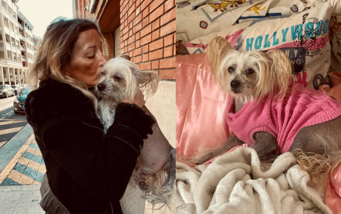 « Des cafards », décès de Loana : Vincent Mc Doom démolit tout l’entourage de la star 4 « Des cafards », décès de Loana : Vincent Mc Doom démolit tout l’entourage de la star Capture decran 2026 03 30 113812