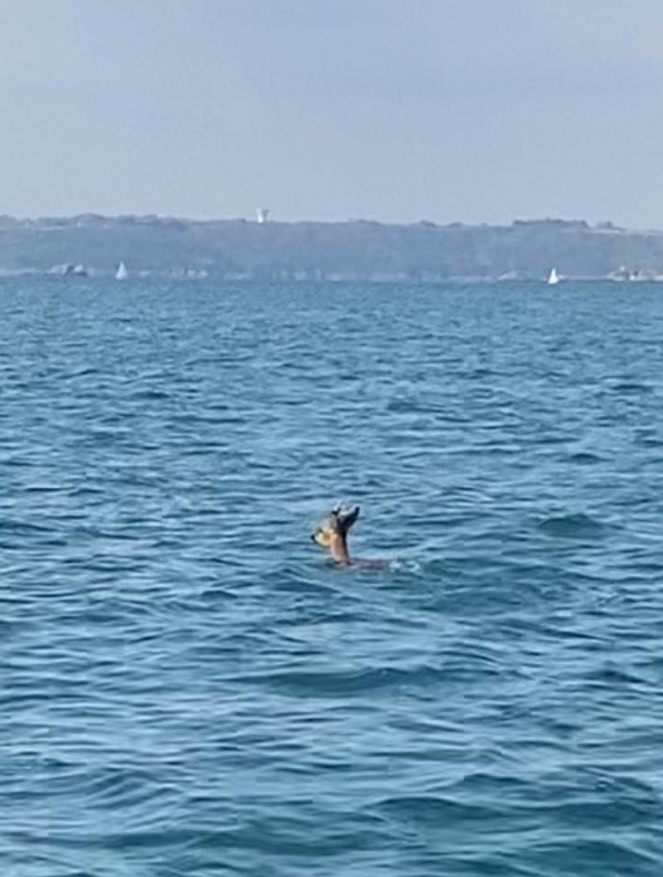 Capture decran 2026 03 30 142324 Copie