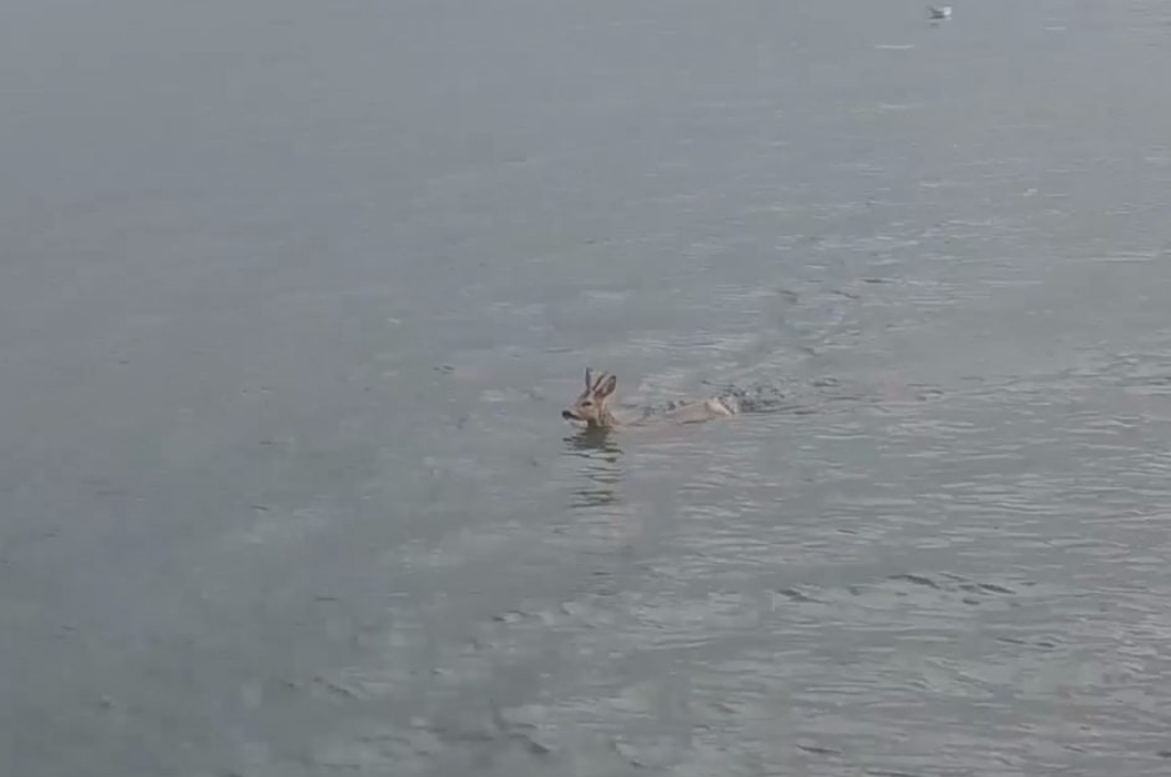 Capture decran 2026 03 30 142329 Copie