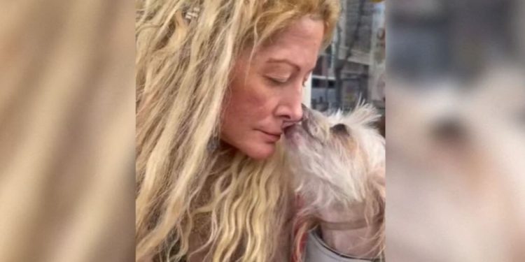 "Le corps pourrait être resté là..." : De nouveaux détails sur la sordide fin de vie de Loana, son chien aussi est mort... 1 "Le corps pourrait être resté là..." : De nouveaux détails sur la sordide fin de vie de Loana, son chien aussi est mort... fgJmeVCDvA