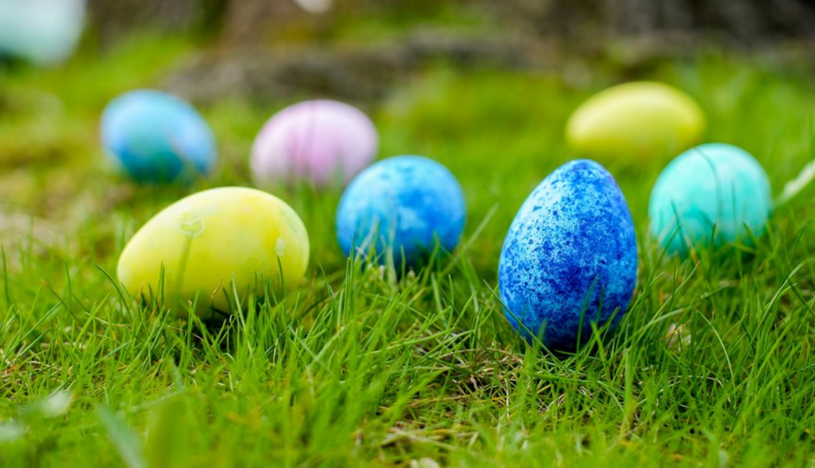 Capture decran 2026 04 06 122204