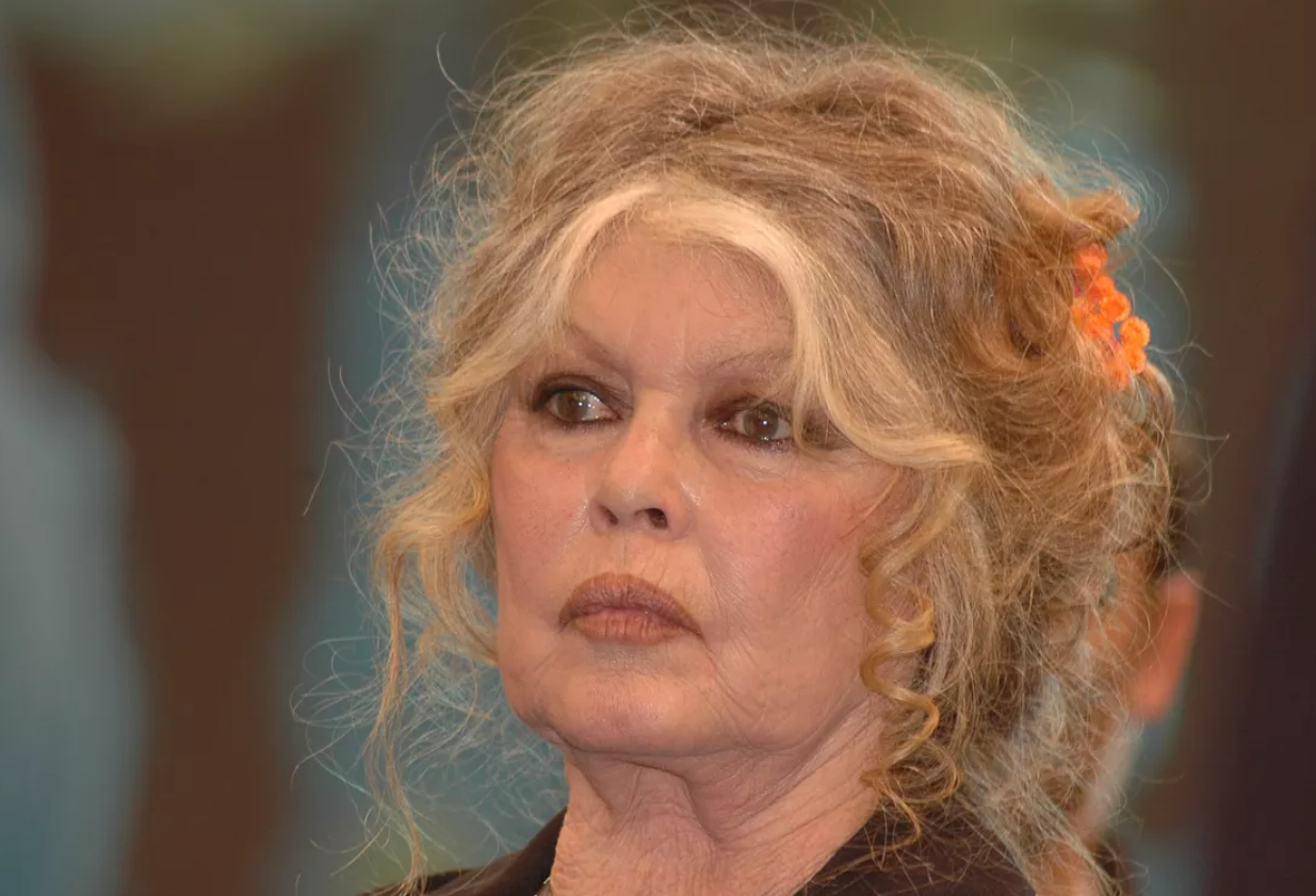 Capture decran 2026 04 13 162909