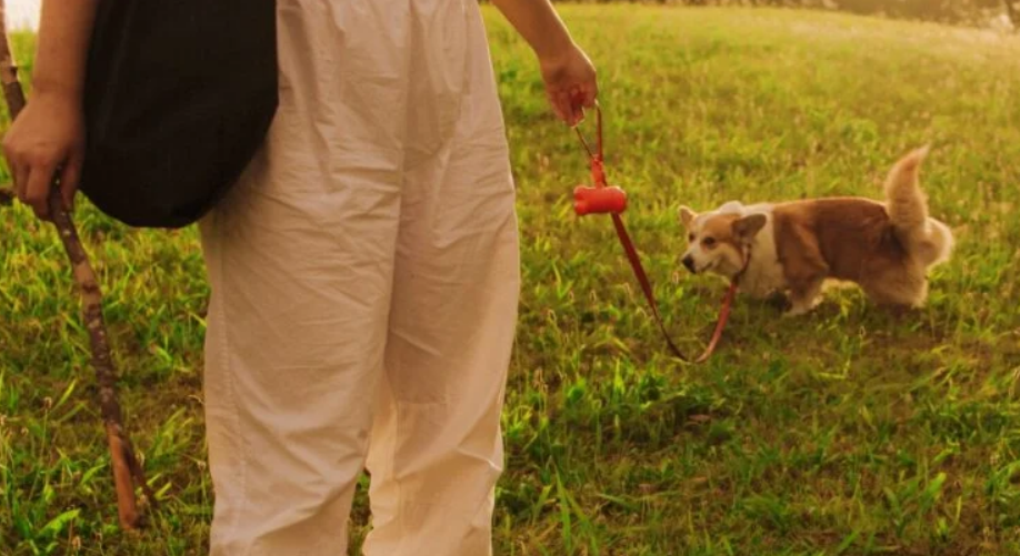 Capture decran 2026 04 13 212205