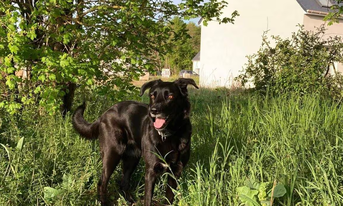 Capture decran 2026 04 13 212208