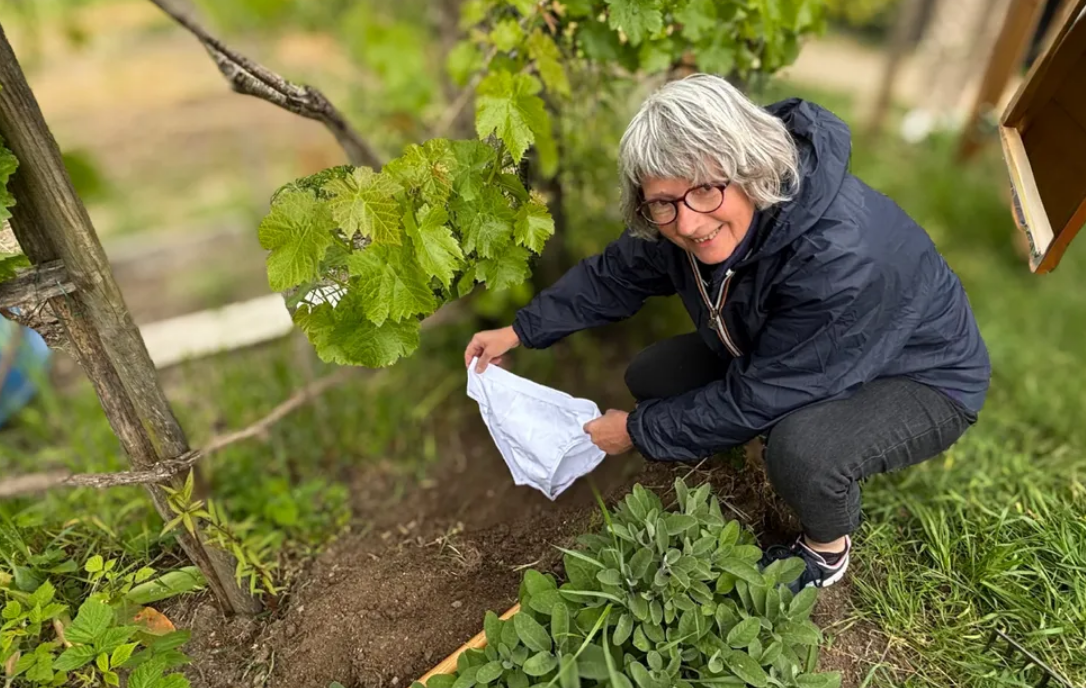 Capture decran 2026 04 23 142628