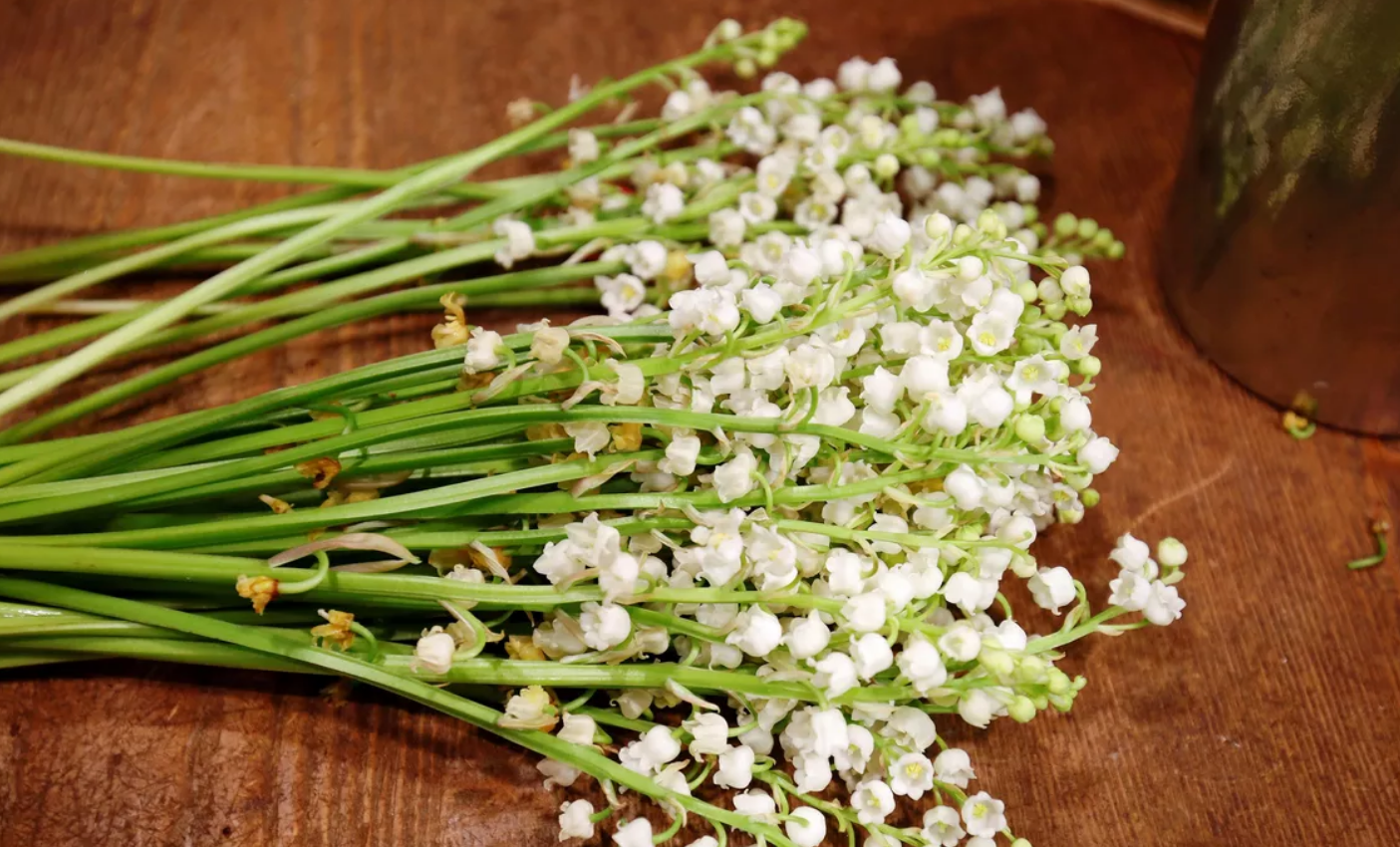 Capture decran 2026 04 29 133909