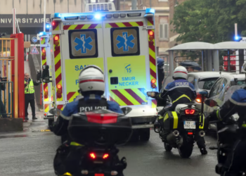 La Française contaminée à l&rsquo;hantavirus a la forme cardiopulmonaire « la plus sévère » du virus