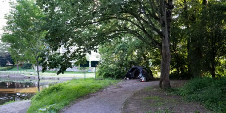 Capture decran 2026 05 25 121008 Rennes