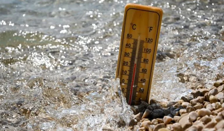 Canicule (1)