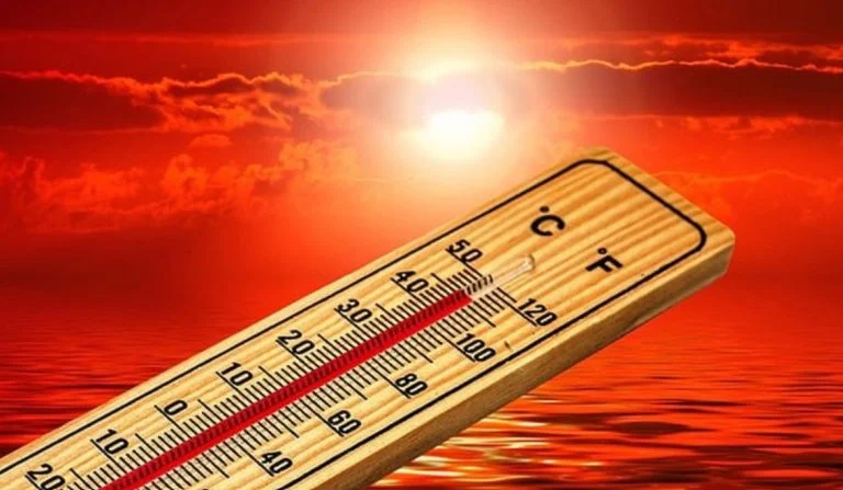 Canicule (2)