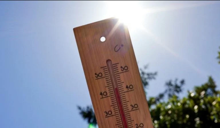 Canicule (4)
