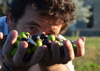 Patrick Bruel: découvrez son magnifique domaine provençal à l&rsquo;Isle-sur-la-Sorgue où il cultive sa propre huile d&rsquo;olive !