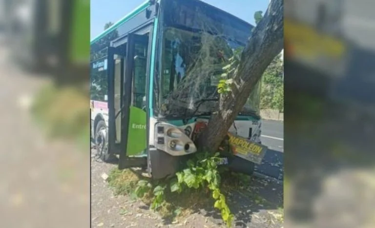 Un bus finit dans un arbre à Paris (1)