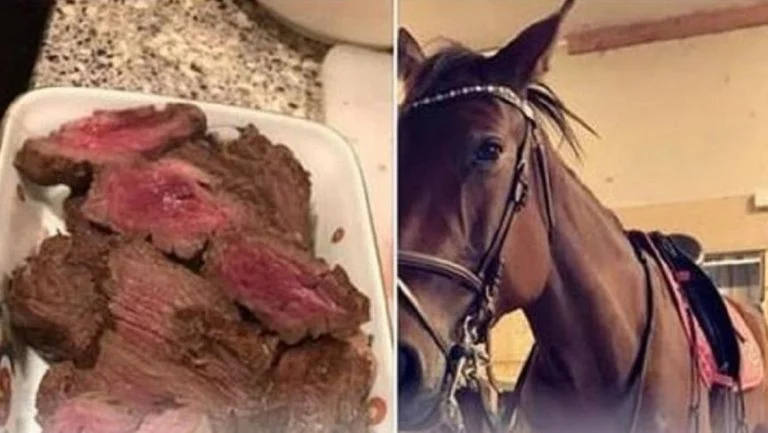 disparition de son cheval (4)