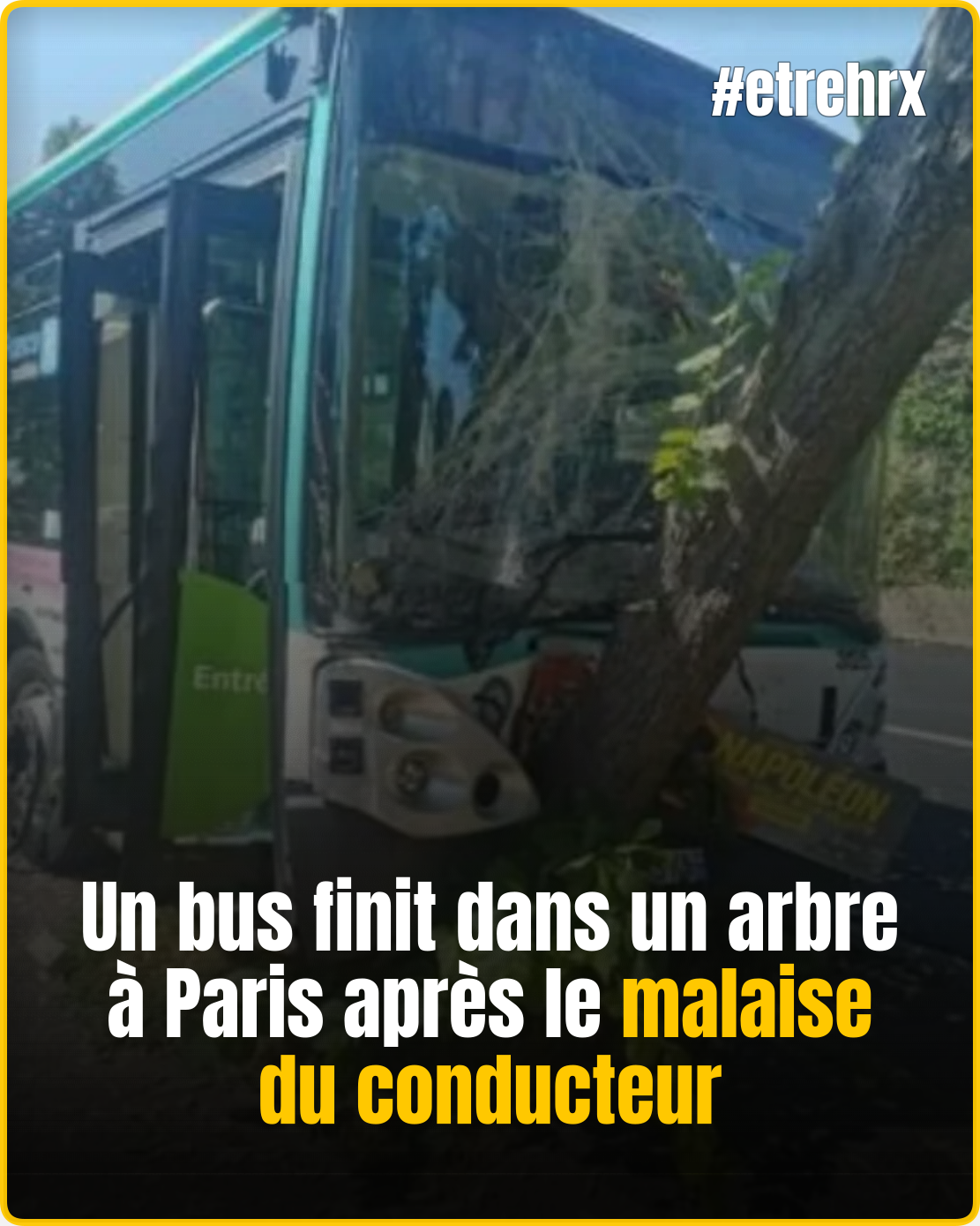 Un bus finit dans un arbre à Paris après le malaise du conducteur