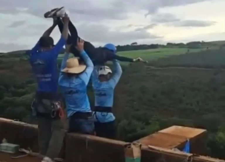 un saut dans le vide au Brésil (4)