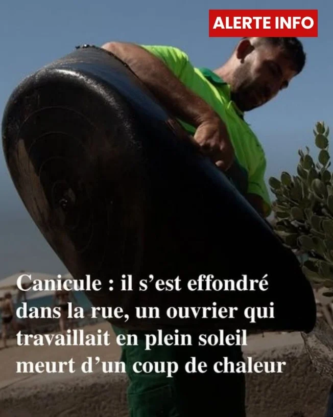 Travaillant sous un soleil de plomb, un ouvrier perd brutalement la vie…