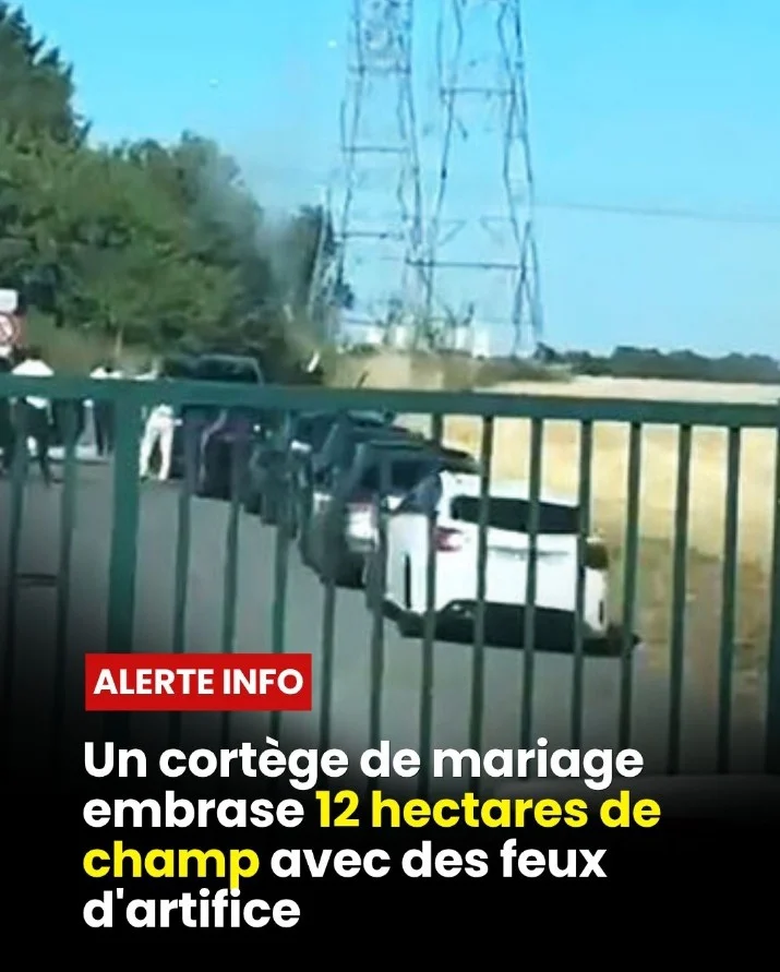 « Ils se sont tous sauvés » : dans le Val-d’Oise, un