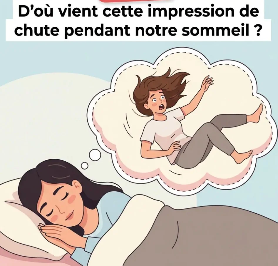 Cette chute soudaine qui vous réveille en pleine nuit : que se