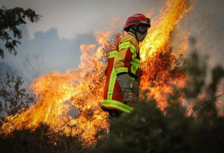 Feu de végétation au Revest-les-Eaux (1)