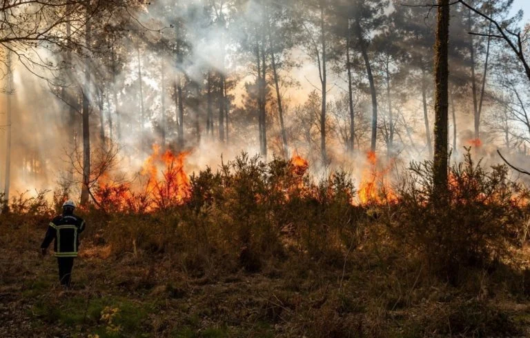 Incendie à Biscarrosse (2)