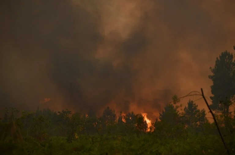 Incendies en France (1)