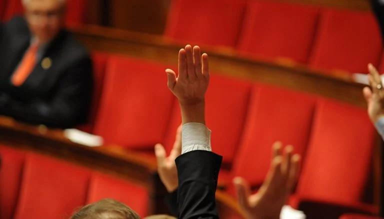 L&rsquo;Assemblée nationale (1)