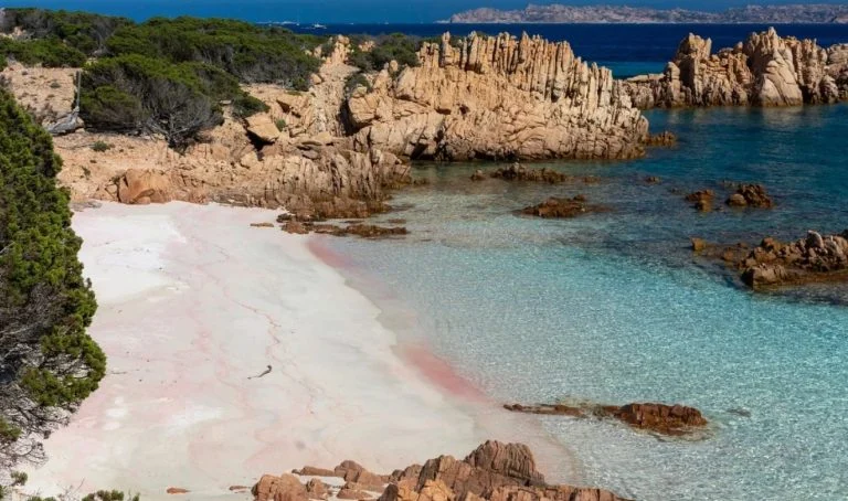 Plage interdite (1)