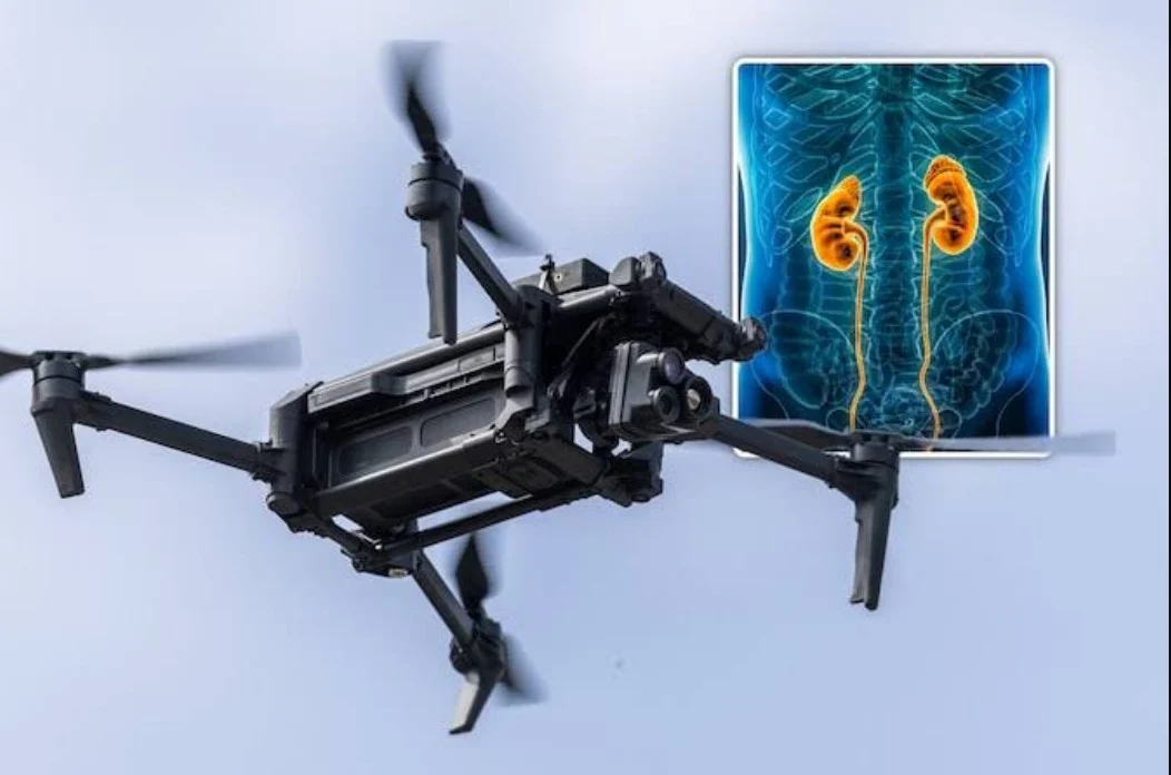 Un rein parcourt 60 kilomètres drone (1) Un rein parcourt 60 kilomètres drone (1)