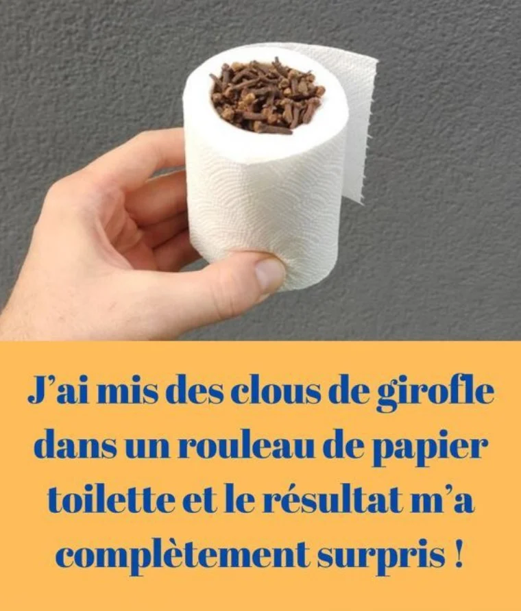WC : cette astuce pour fabriquer un diffuseur anti-odeur à base d’épluchures