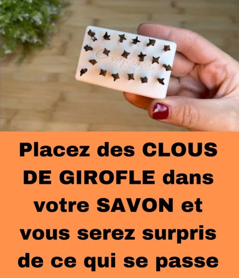 Des clous de girofle dans le savon, la technique de nos grand-mères