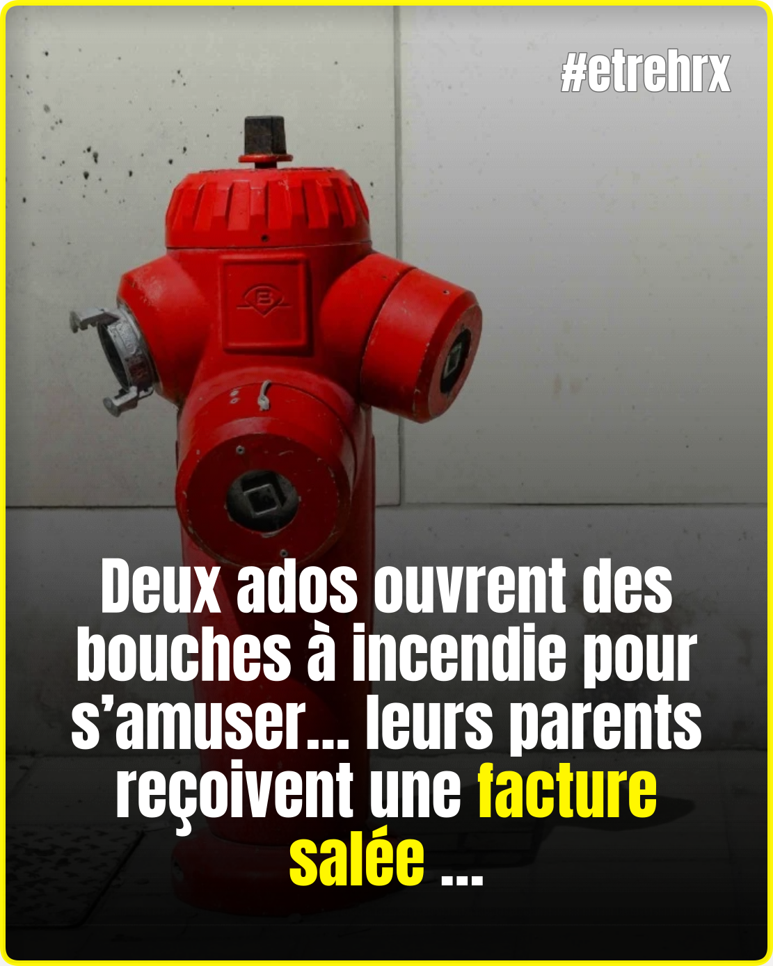 Ils pensaient simplement s’amuser… leurs parents doivent finalement payer 2 000 €…