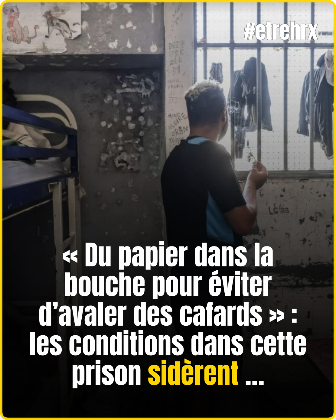 Cafards, surpopulation, détenus dormant au sol…
