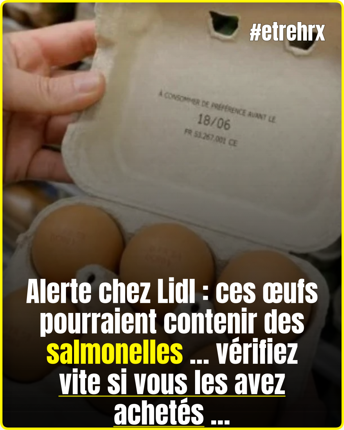 ⚠️ Vous avez acheté des œufs chez Lidl ? Certains lots présentent un risque pour la santé…