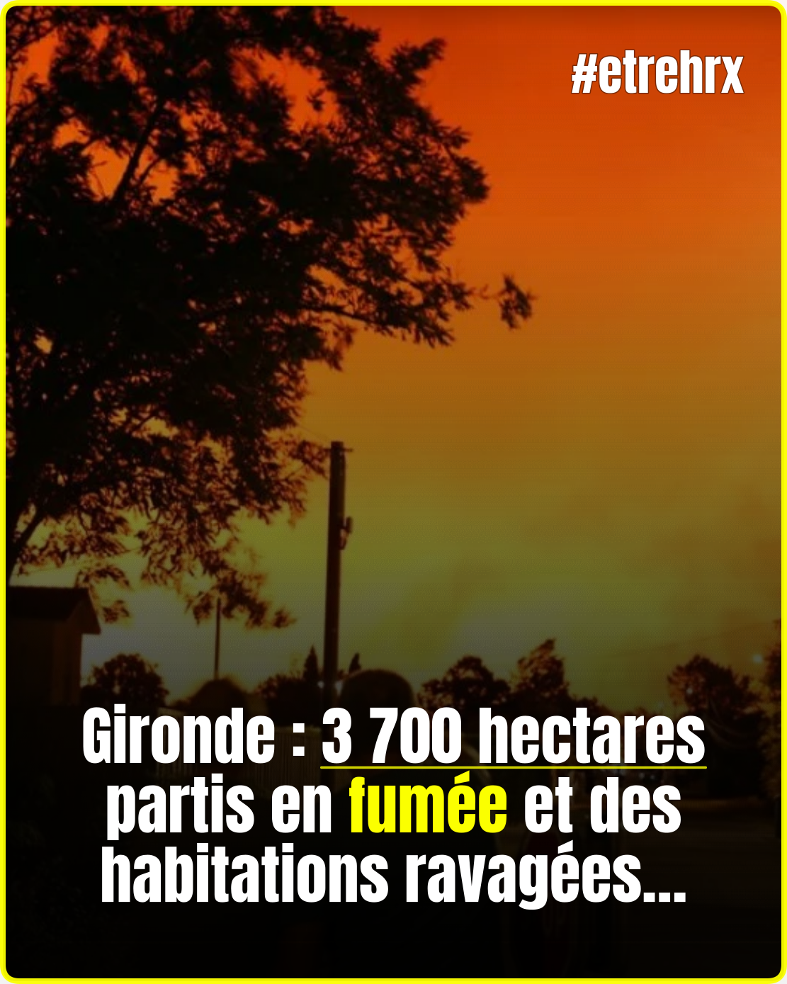 Incendies en Gironde : des milliers d’hectares brûlés et des maisons touchées…