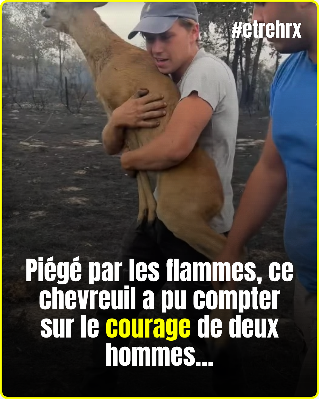 Gironde : deux hommes sauvent un chevreuil des flammes