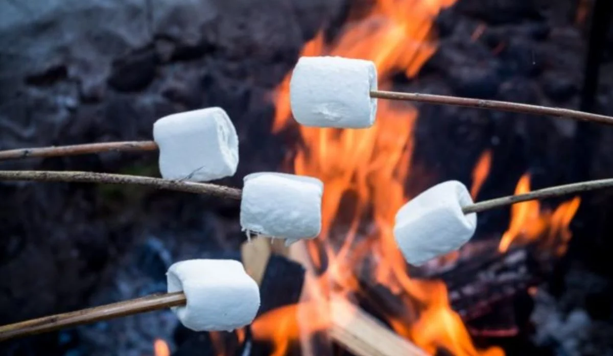 griller des chamallows (4) griller des chamallows (4)