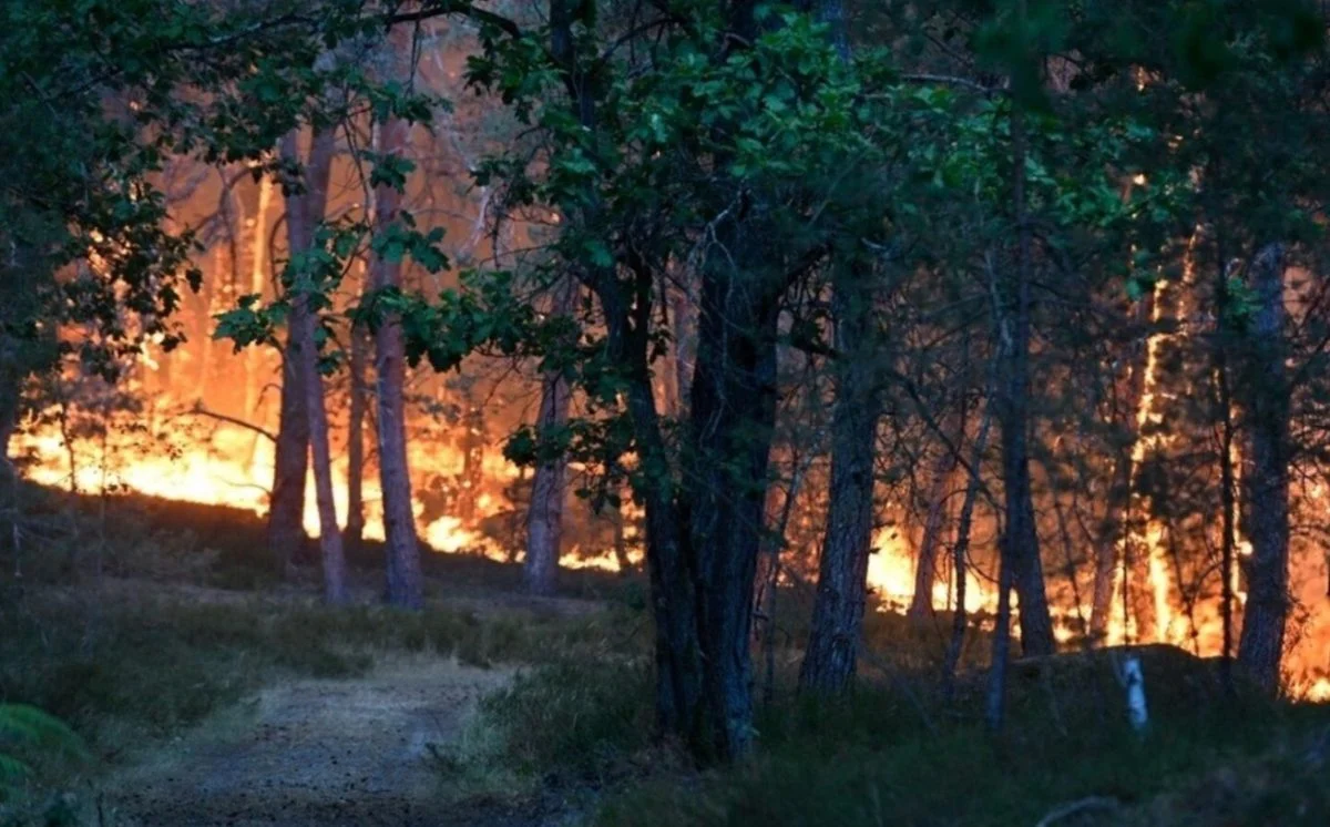 incendie (5) incendie (5)