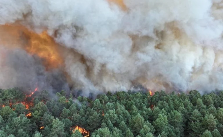 incendie (8)