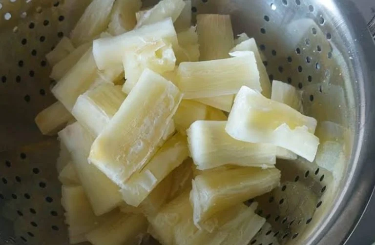 manioc (1)