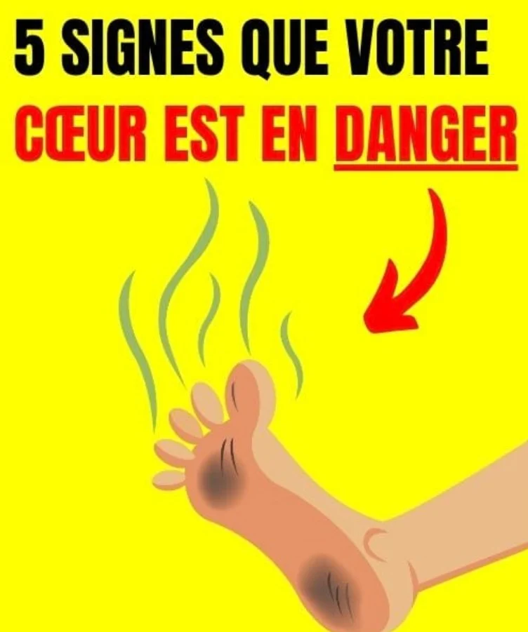 Votre cœur vous avertit ! Voici les 5 signes que votre cœur est en danger