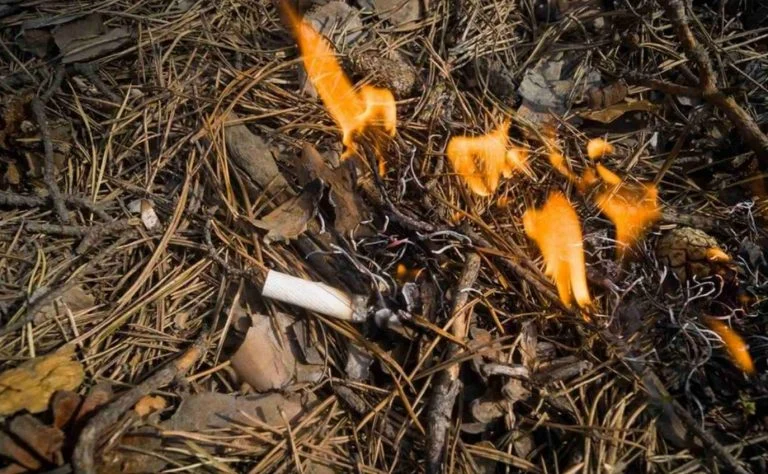 Incendies (2)