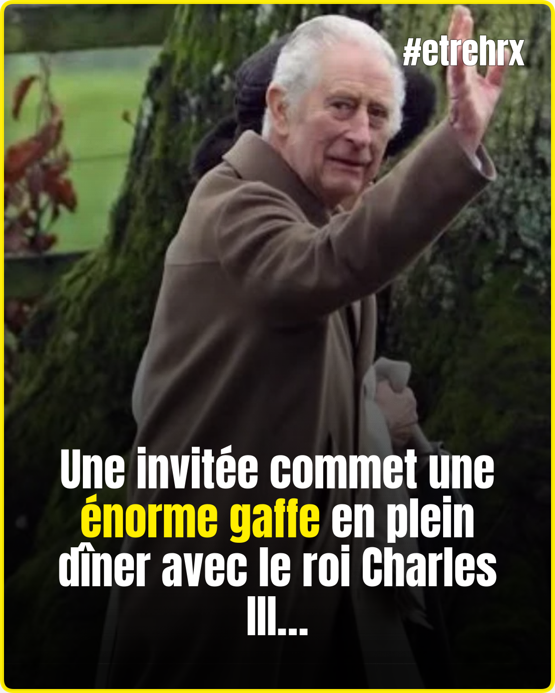 La gaffe très gênante d’une invitée en plein dîner avec le roi