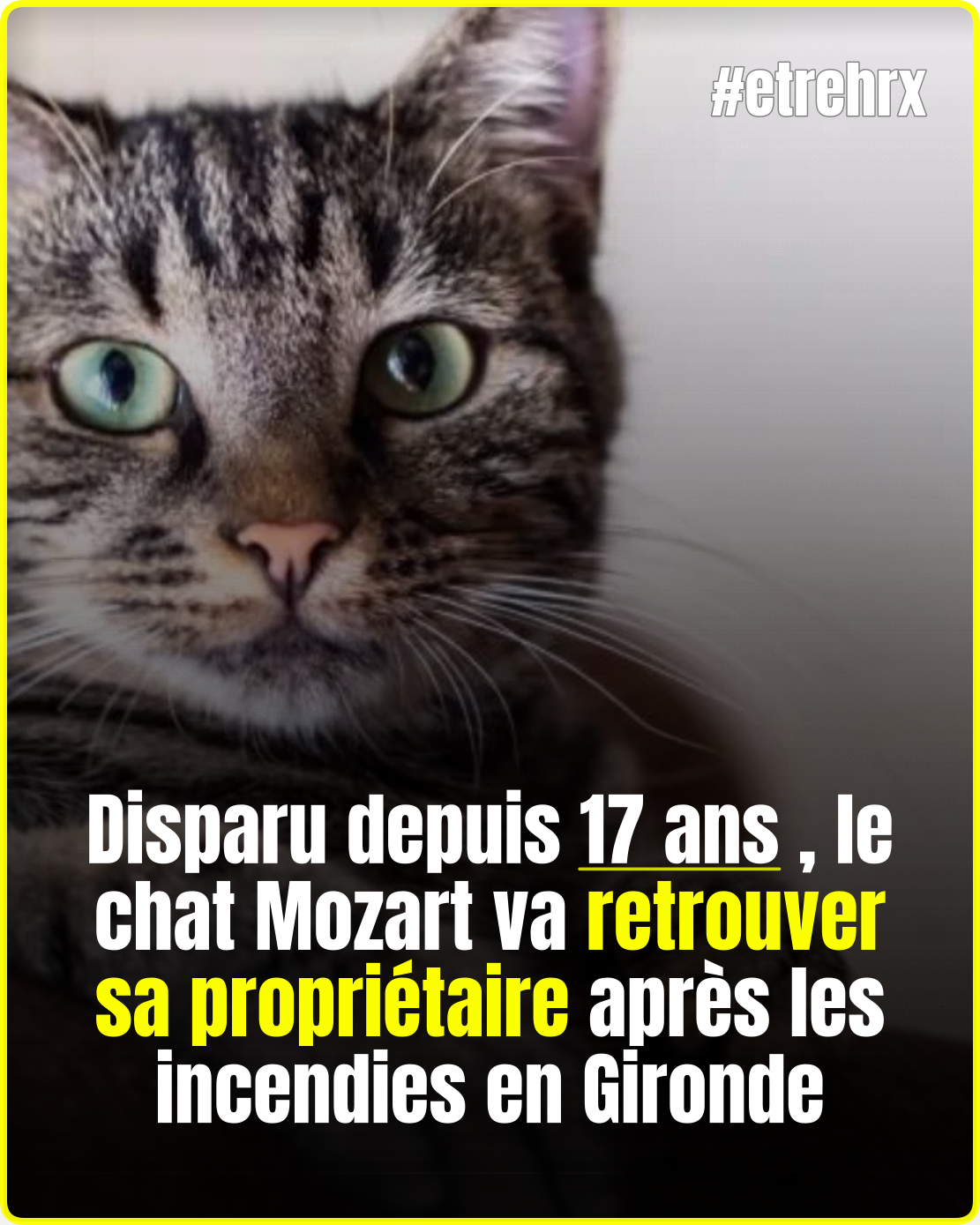 « Je l’ai reconnu tout de suite » : disparu depuis 17