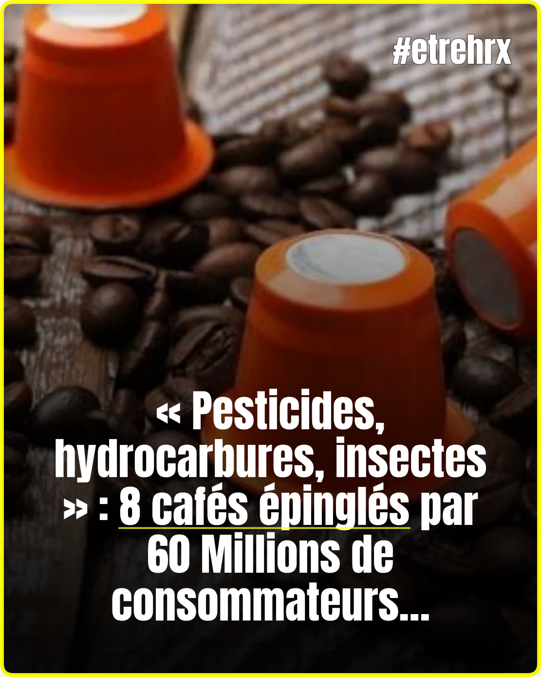 « Pesticides, hydrocarbures, insectes » : ces 8 cafés sont les pires