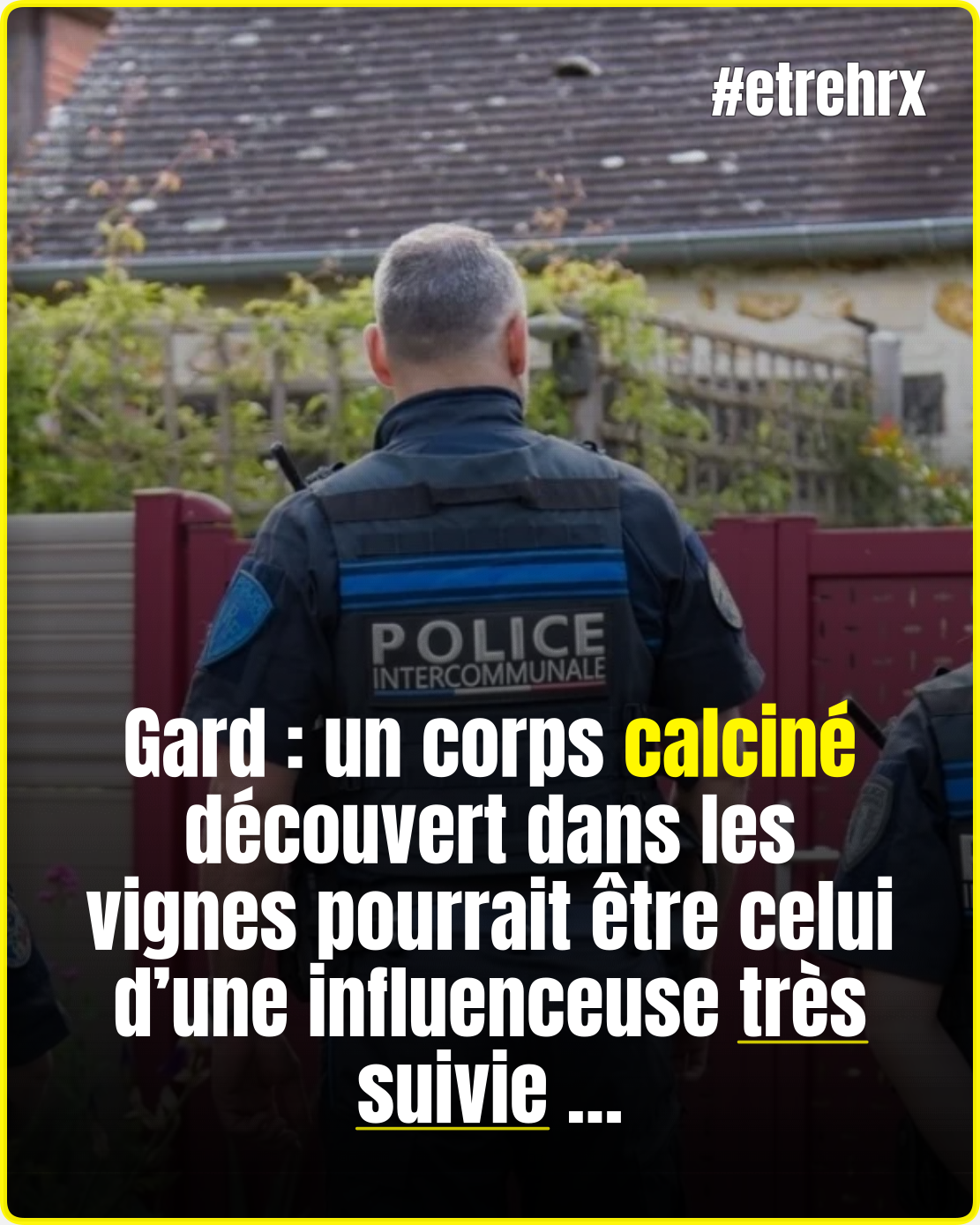 Gard : un corps calciné découvert dans les vignes pourrait être celui