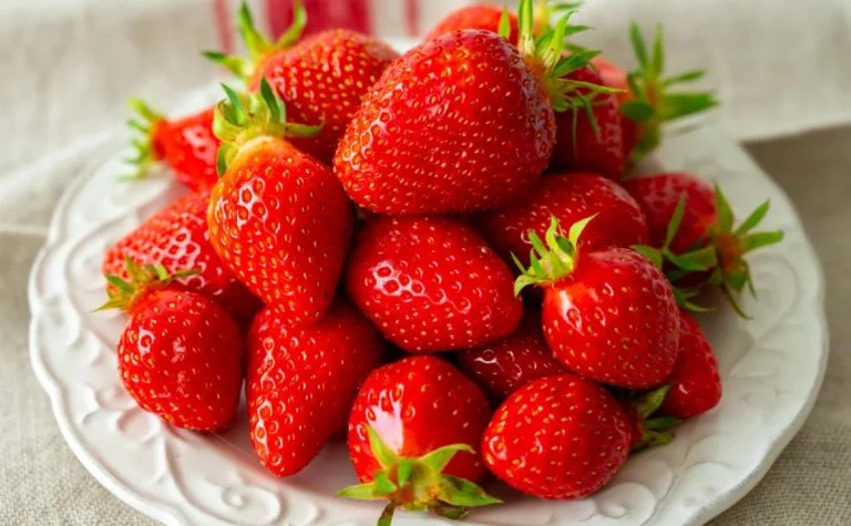 fraise (1)