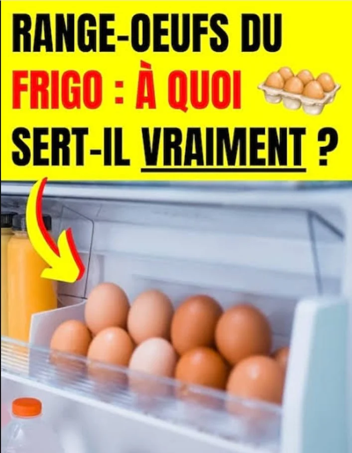 Vous rangez vos œufs dans le compartiment prévu sur la porte du frigo ? Ce serait une erreur, voici sa véritable utilité…